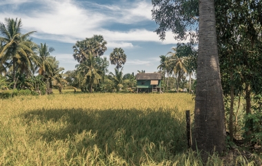 Okolice-Kampotu-3